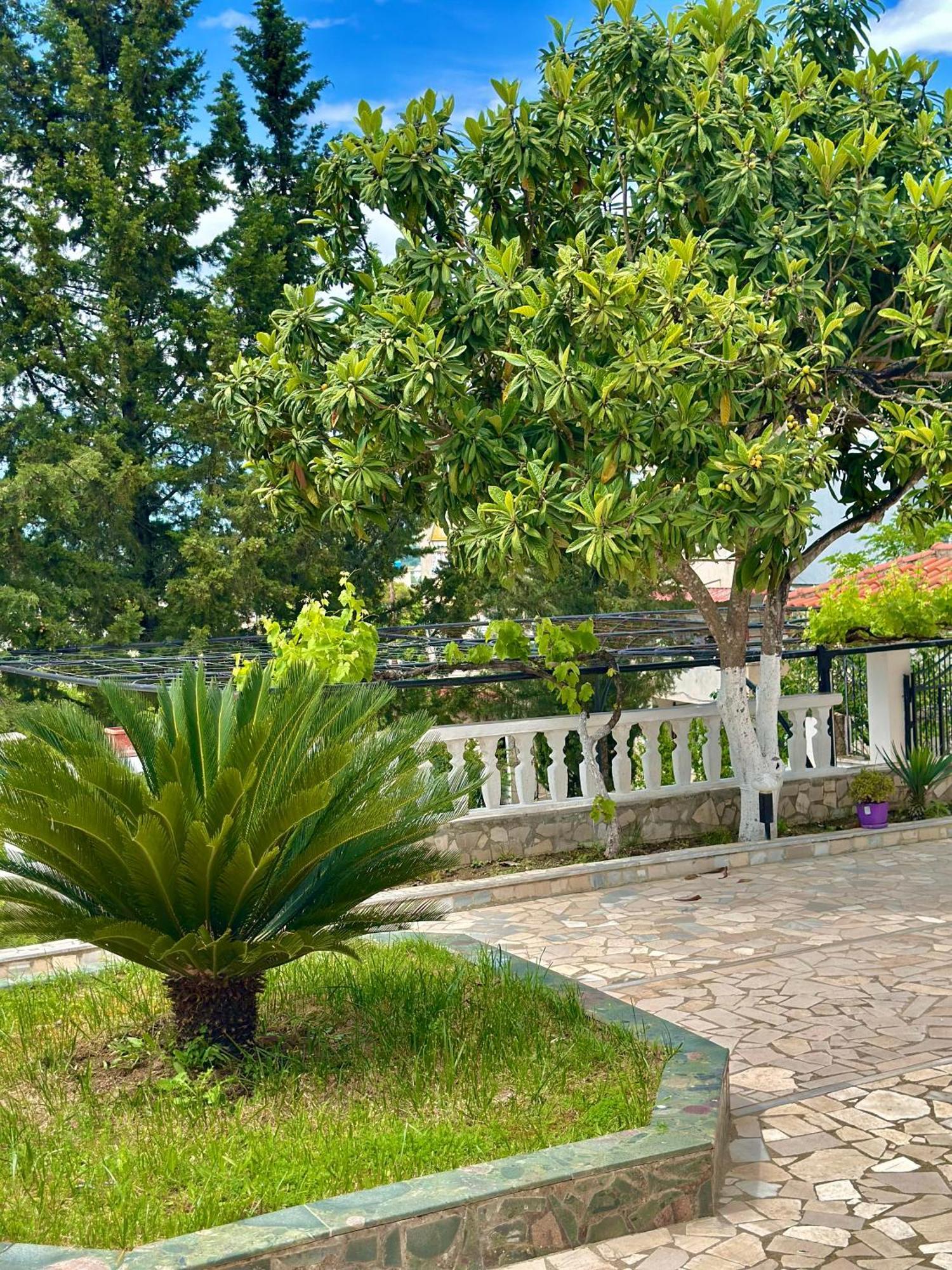 Villa Braho Gjirokastër Eksteriør bilde